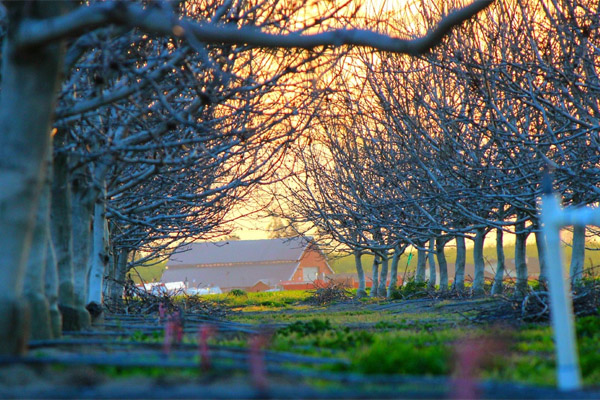 获取短信验证码平台