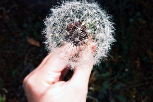 轰炸手机号信息软件免费版