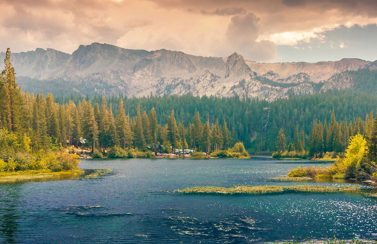 一键环境切换的免费电话轰炸机